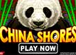 Up to $1000 + 100 Free Spins on China Shores in WildTornado Casino